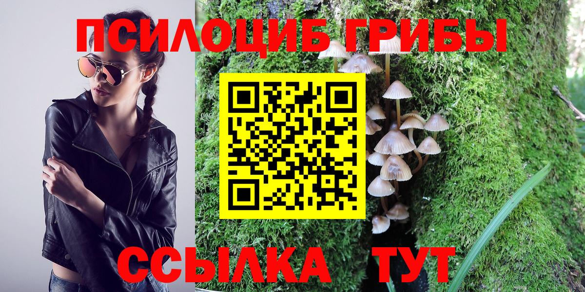 Великие Луки  Псилоцибиновые грибы мицелий  Вход с VPN  Галлюциногенные грибы Psilocybine cubensis 