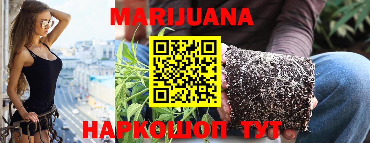 Великие Луки  Бошки марихуана сатива  МАРИХУАНА OG Kush  Вход с VPN 